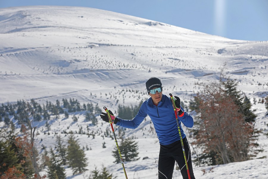 Elie Tawk aux Cèdres